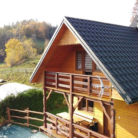 Domek Dzikusowka 1 Bieszczady Solina Polanczyk Zawoz Cisna Gorzanka Exteriér fotografie